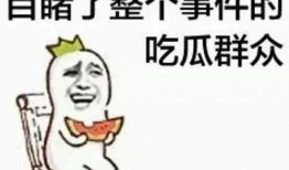 娱乐吃瓜群众模板下载,揭秘明星背后的故事，带你领略明星们的真实生活